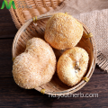 Organic Hericium Erinaceus kivonat por